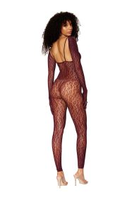 Catsuit Bodystocking and Shrug  One Size
