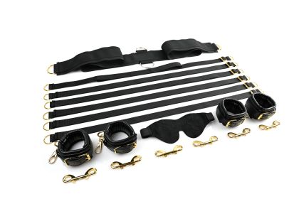 Under the Bed Restraint Set